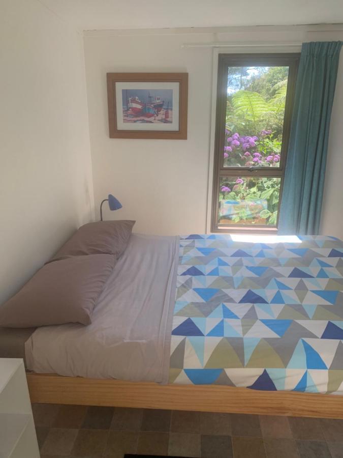 Pickled Parrot - Boutique Hostel Paihia Buitenkant foto